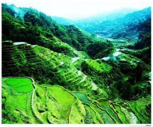 yapboz Pirinç Teras Filipin Cordilleras ve